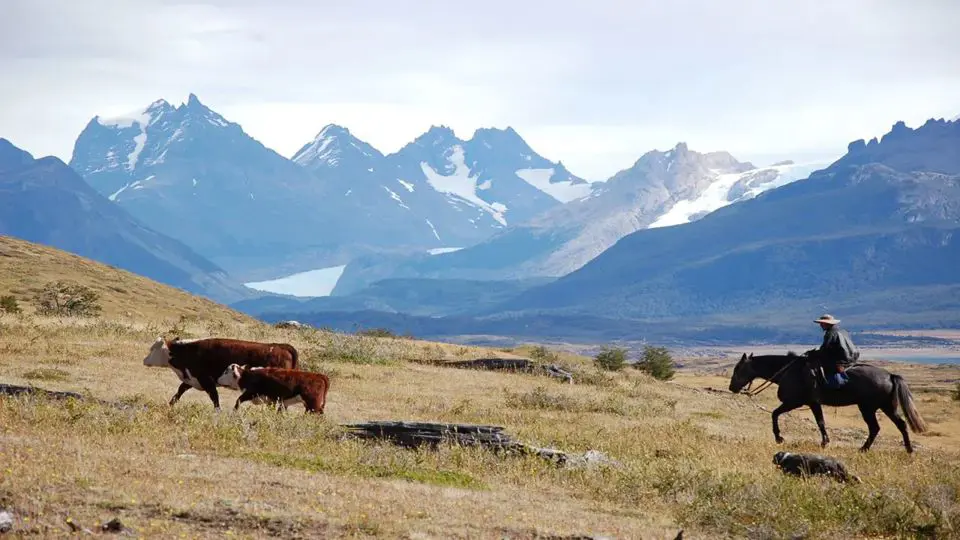 ¿Cuál es la mejor cabalgata en El Calafate?