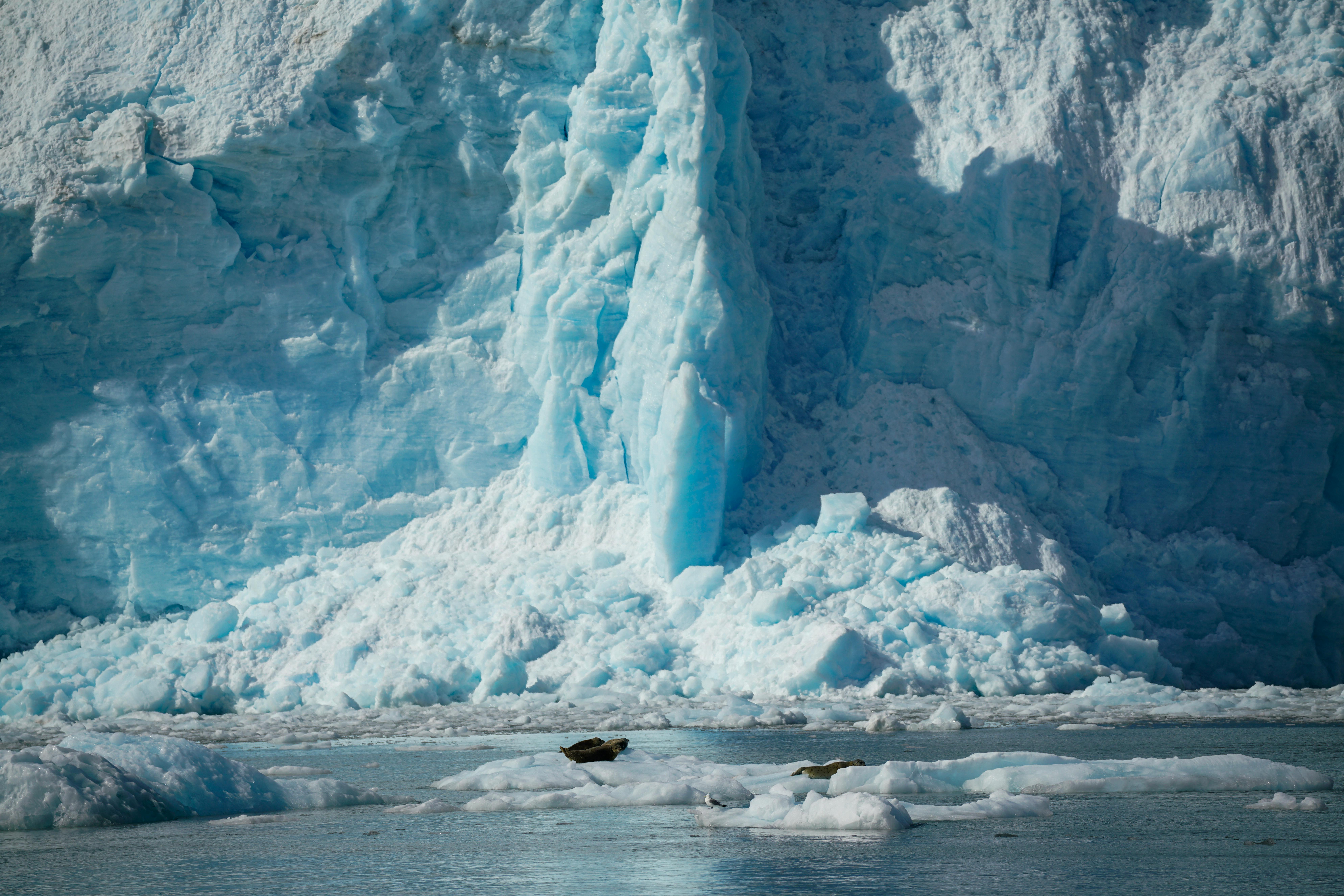 Welche Gletscher gibt es in El Calafate außer Perito Moreno zu besuchen?