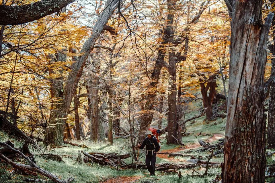 5 Rotas de Trekking em El Calafate: Guia para Todos os Níveis