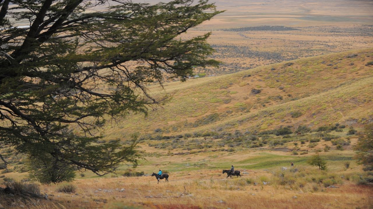 Cabalgata En El Cerro Frías (11)