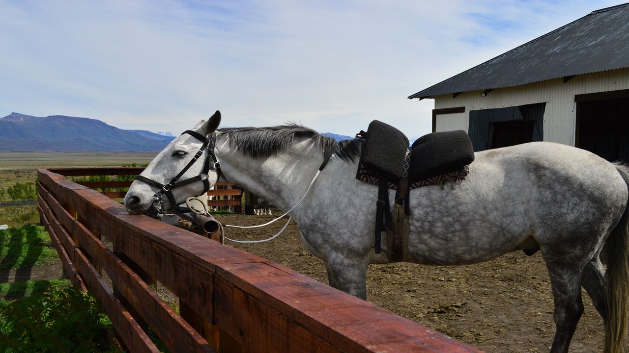 Cabalgata En El Cerro Frías (7)