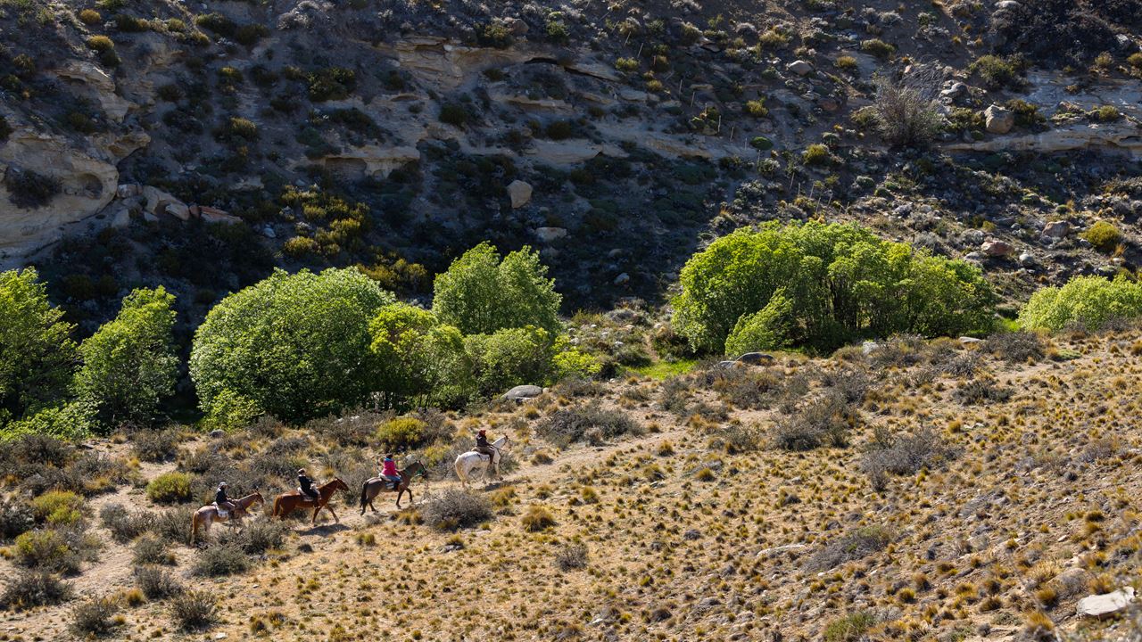 Cabalgata Experience (1)