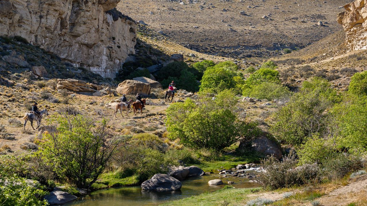 Cabalgata Experience (4)