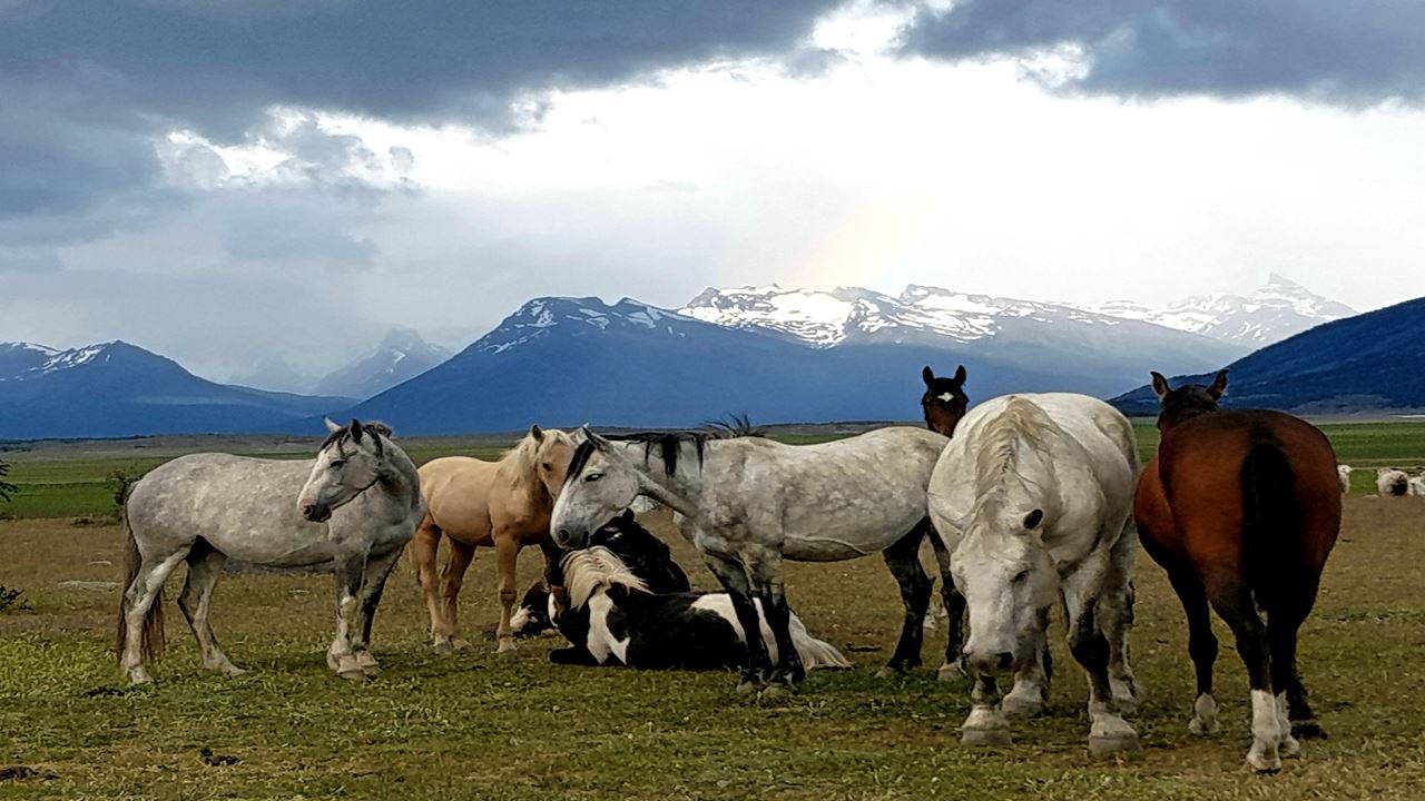 Cabalgata Rio Mitre (1)