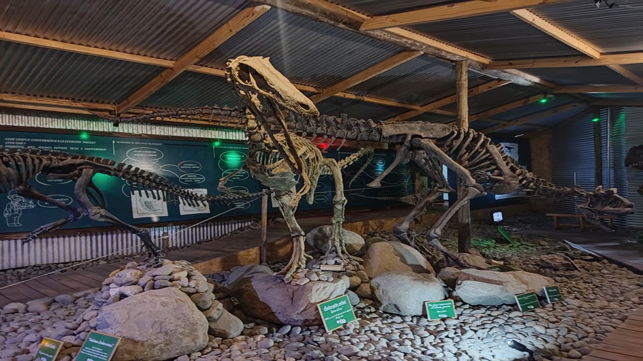 City Tour En Privado (7)