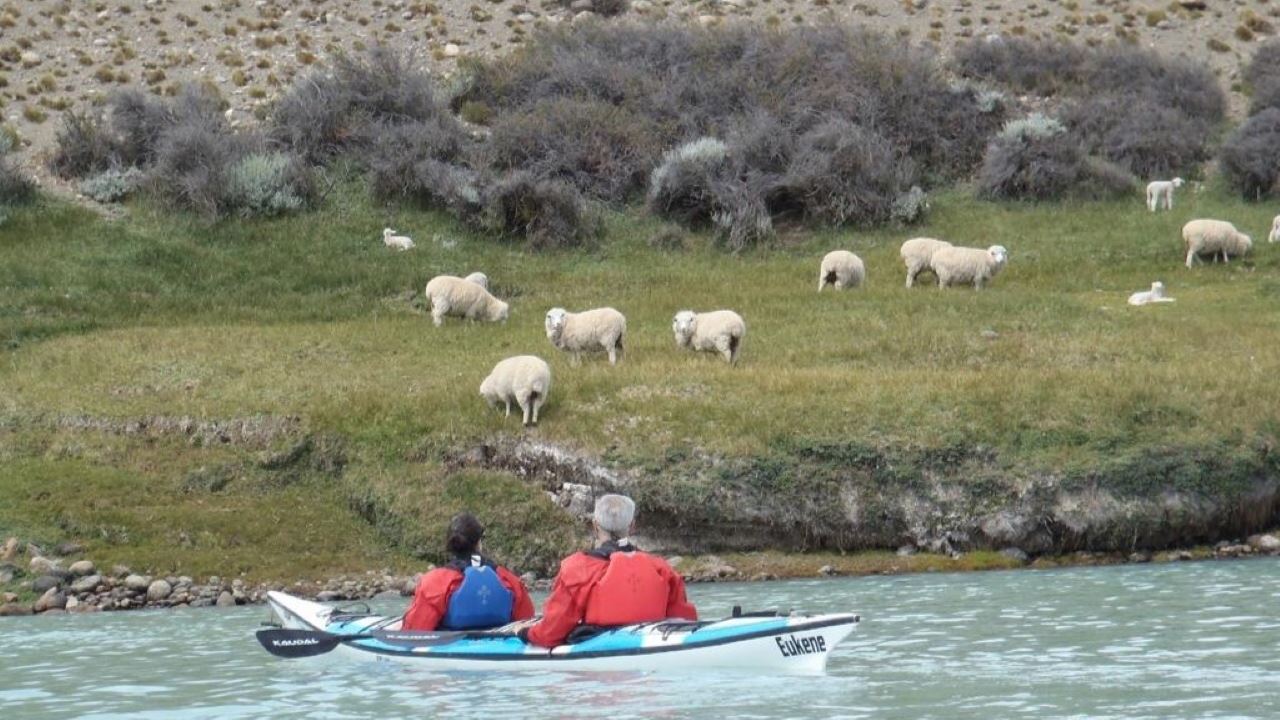 Darwin Experience - Kayaks Y Aventura (7)