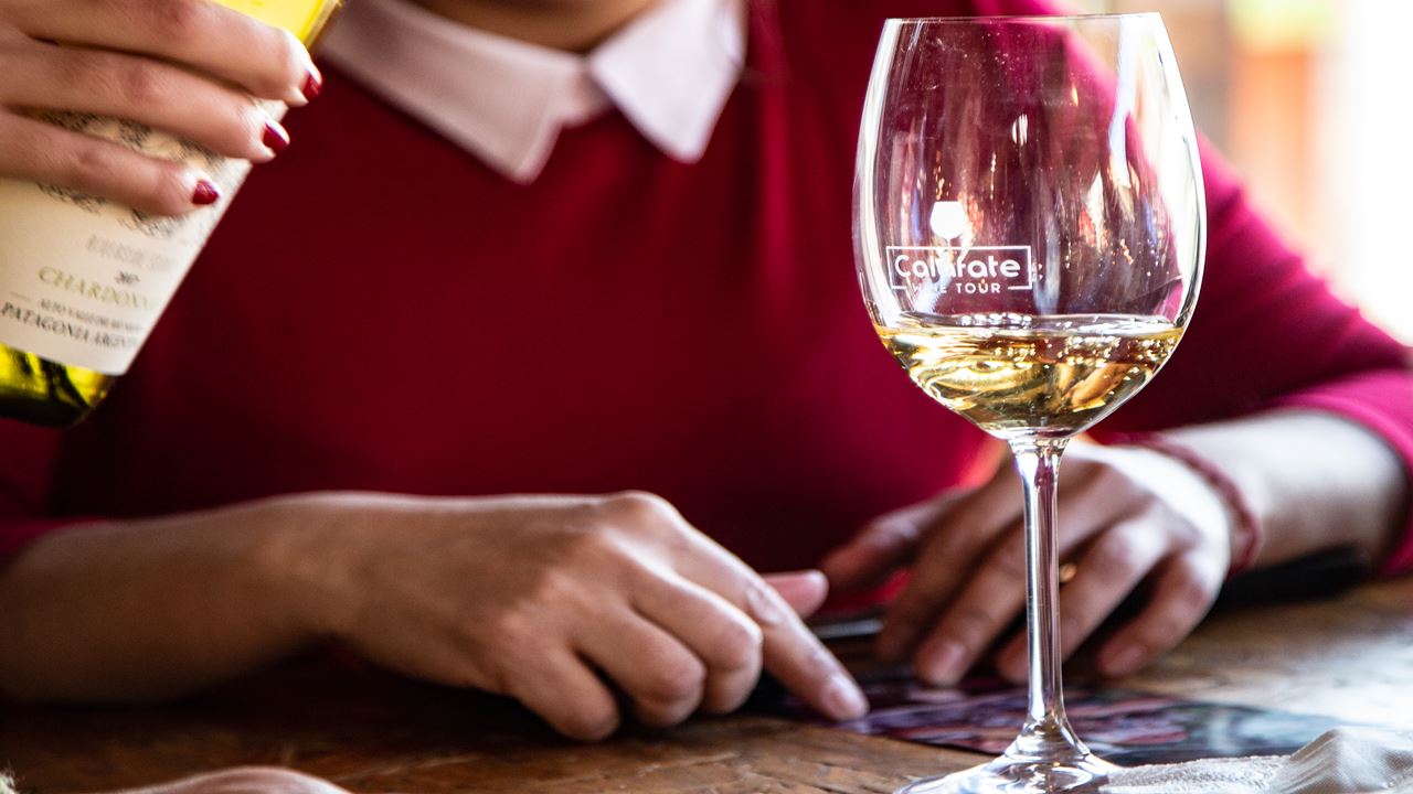 Degustacion De Vinos (3)
