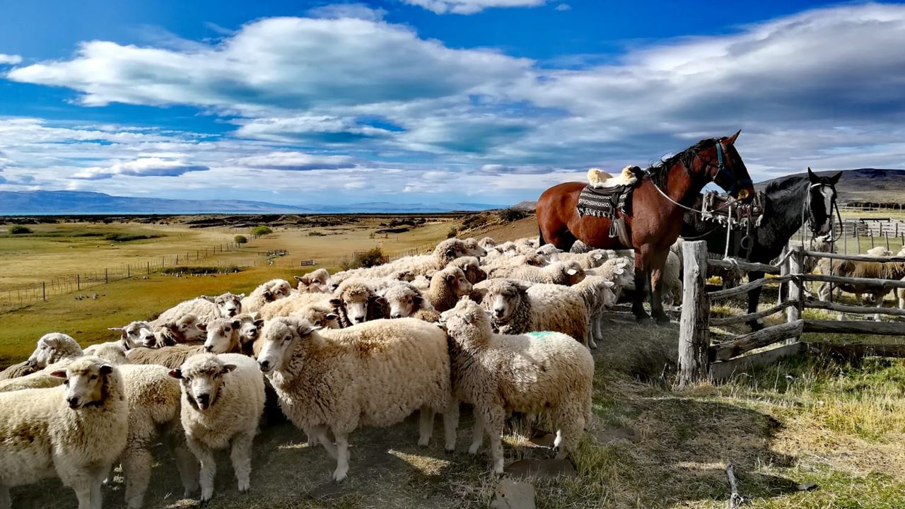 El Galpón Del Glaciar - Estancia De La Patagonia (4)