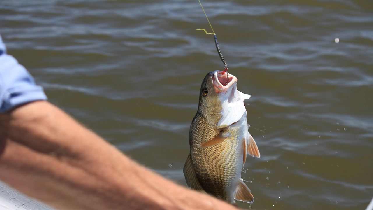 Jornada De Pesca Deportiva Con Mosca (4)