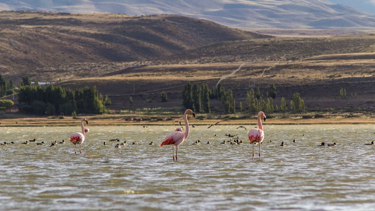 Kayak En El Calafate (2)