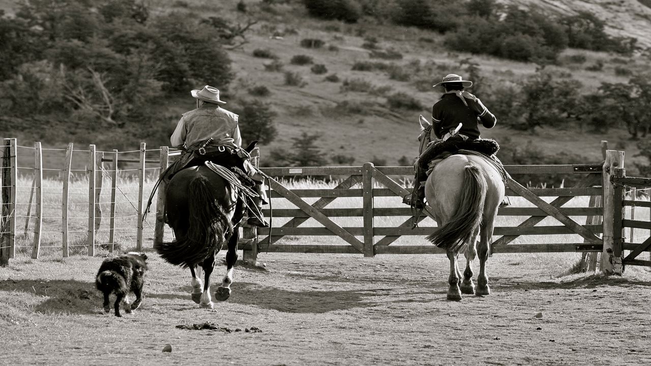 Medio Día De Campo En Estancia Nibepo Aike (14)