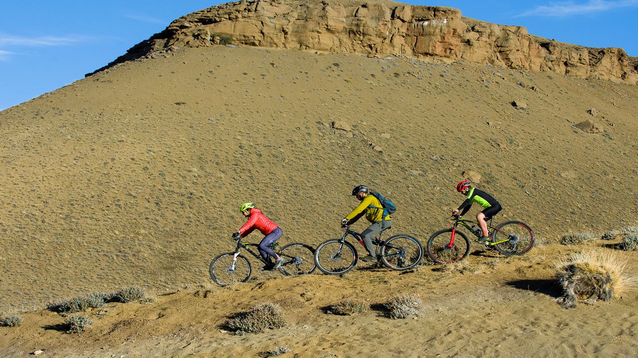 Safari Bike Experience - Fauna Y Estepa (11)