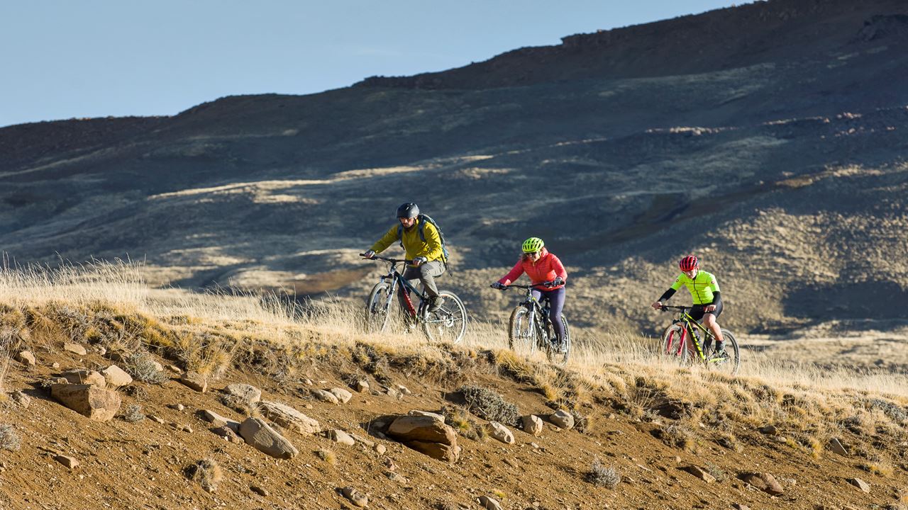 Safari Bike Experience - Fauna Y Estepa (0)