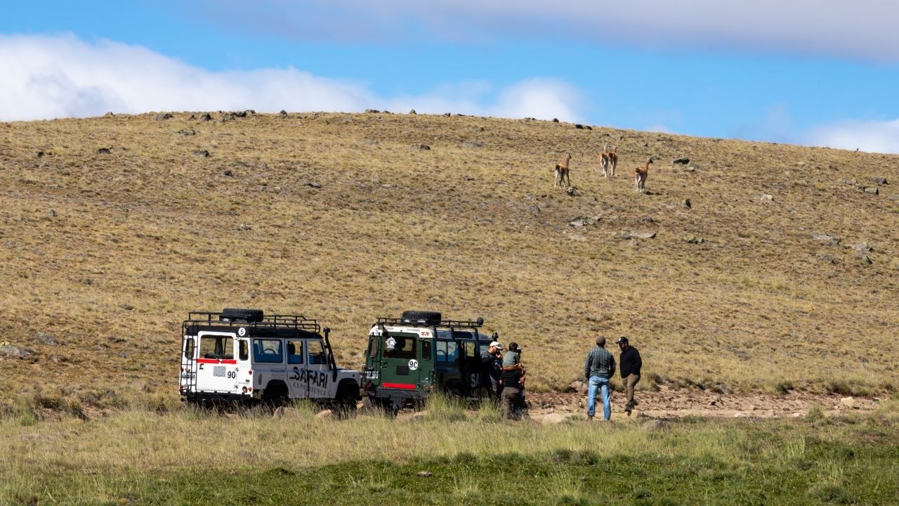 Safari Experience - Fauna & Estepa (11)