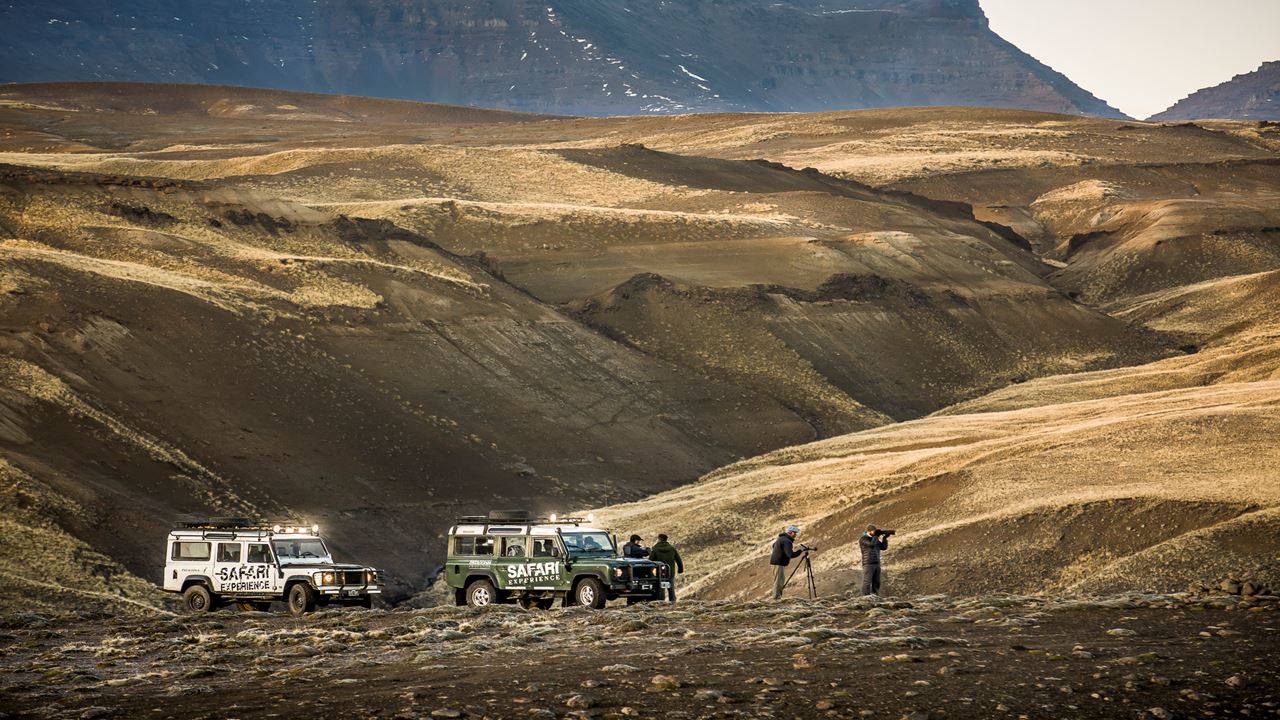 Safari Experience - Fauna & Estepa (2)