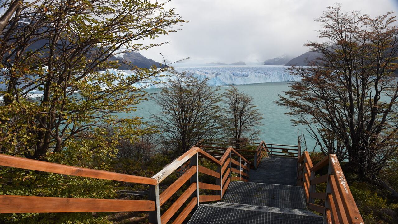 Promo: Transferts Et Glacier Perito Moreno foto 7