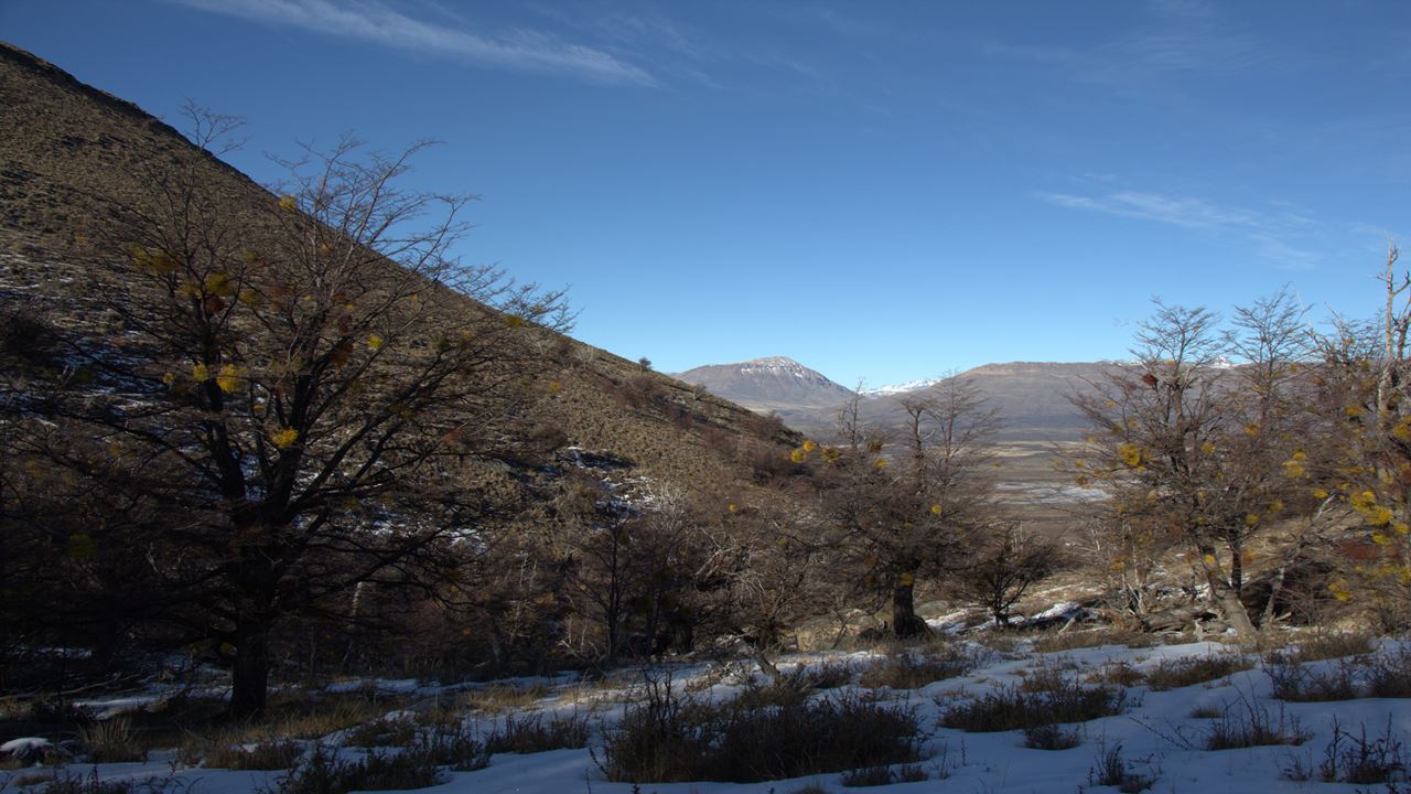 Trekking A La Cima Del Cerro Frias (4)