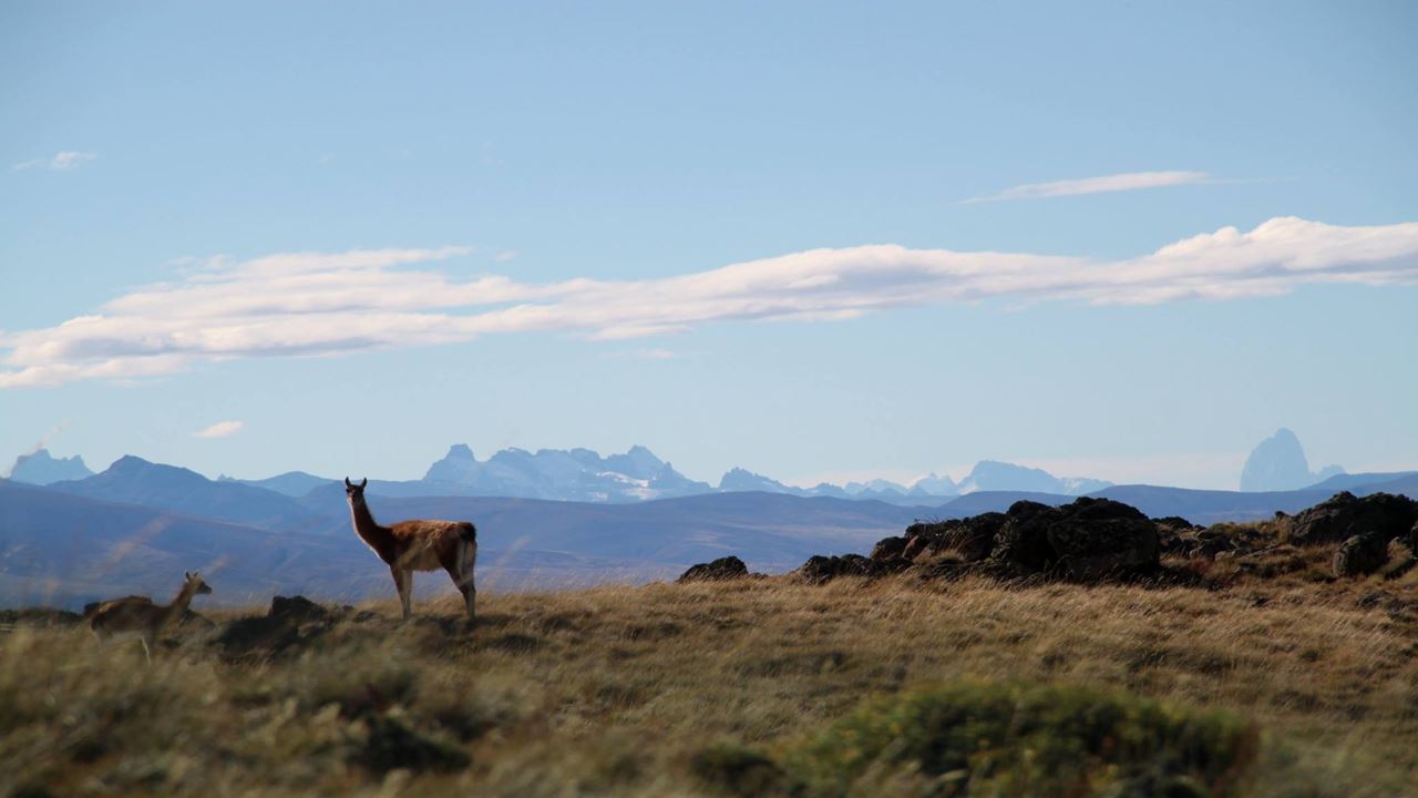 Trekking En El Cerro Frias (2)