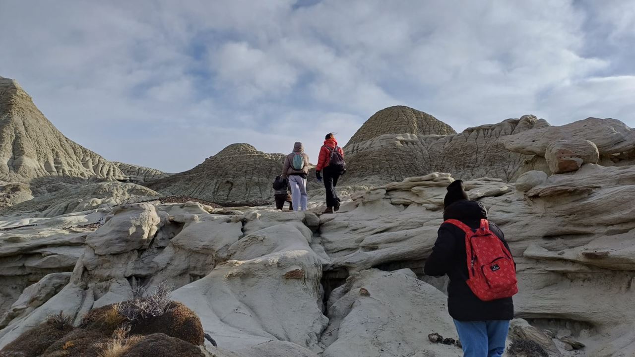La Leona Petrified Forest