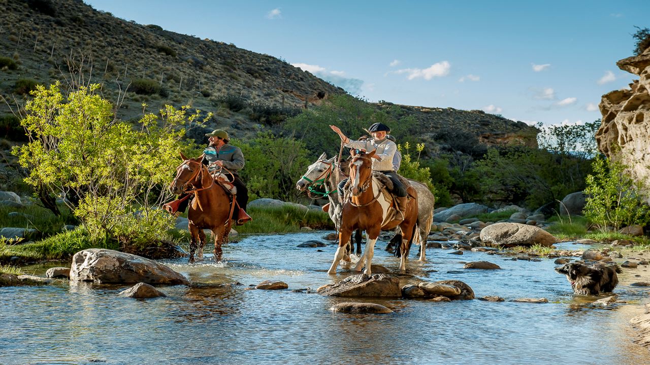 Horseback Riding Experience