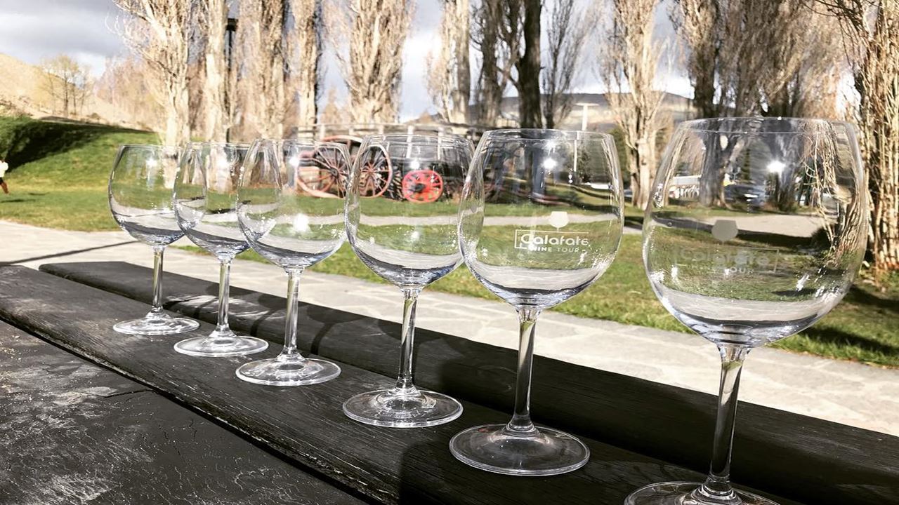 Degustacion De Vinos